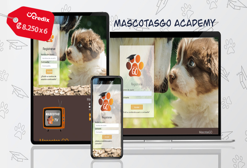 MascotasGo, Academy, adiestramiento, virtual, perro, personalizado, 