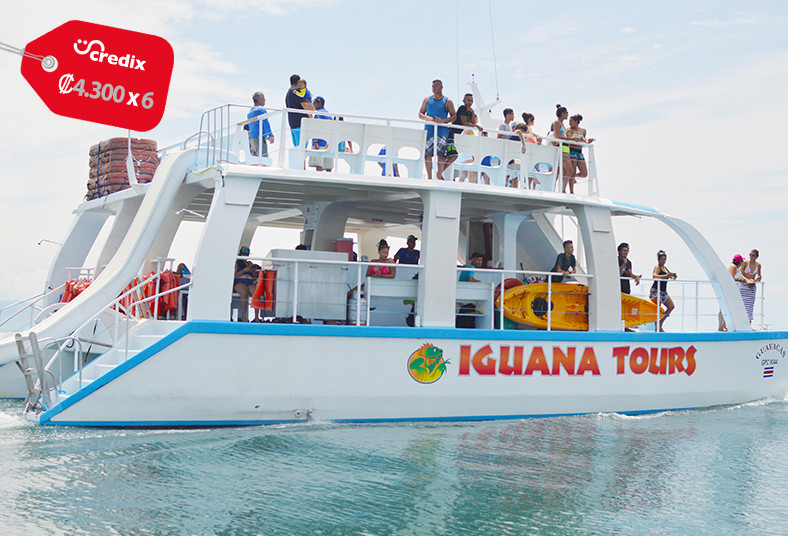 iguana, tours, catamarán, playa, ballenas, tobogán, delfines, comida, paseo
