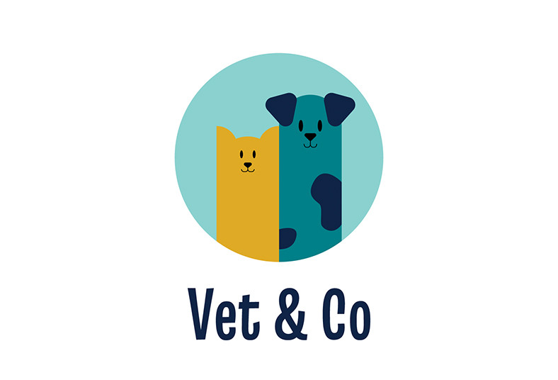 Vet&Co, veterinaria, limpieza, dental, perros, gatos, animales, salud