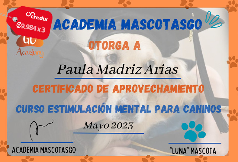 MascotasGo, Academy, adiestramiento, virtual, perro, carnet, digital