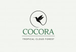 Bosque Nuboso el Cocora