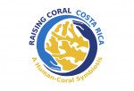 Raising Coral Costa Rica